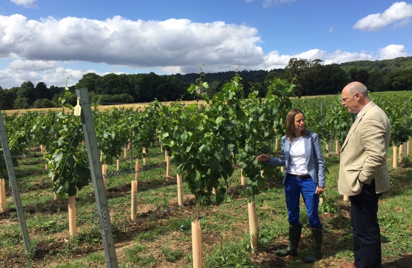 Visiting Chapel Down's vineyard in Boxley