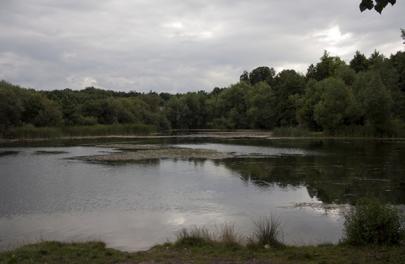 Oare creek is under threat