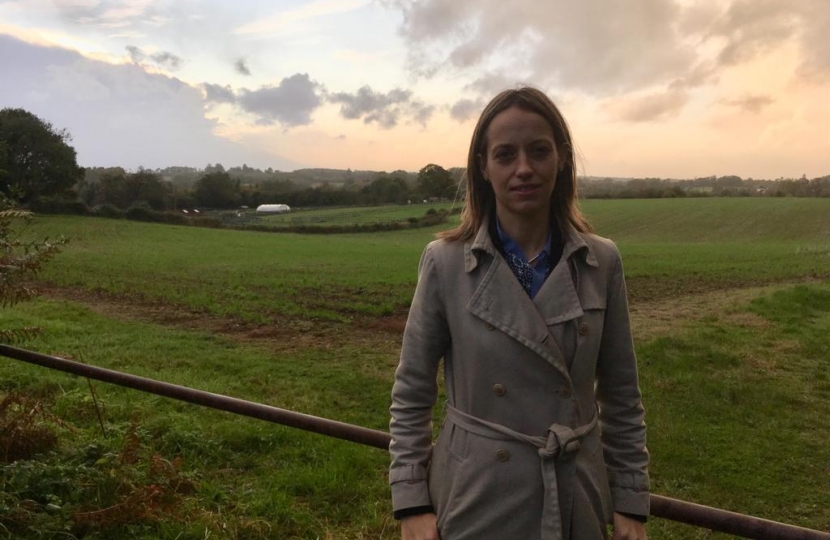 Helen at the proposed site of the Lenham Heath development 