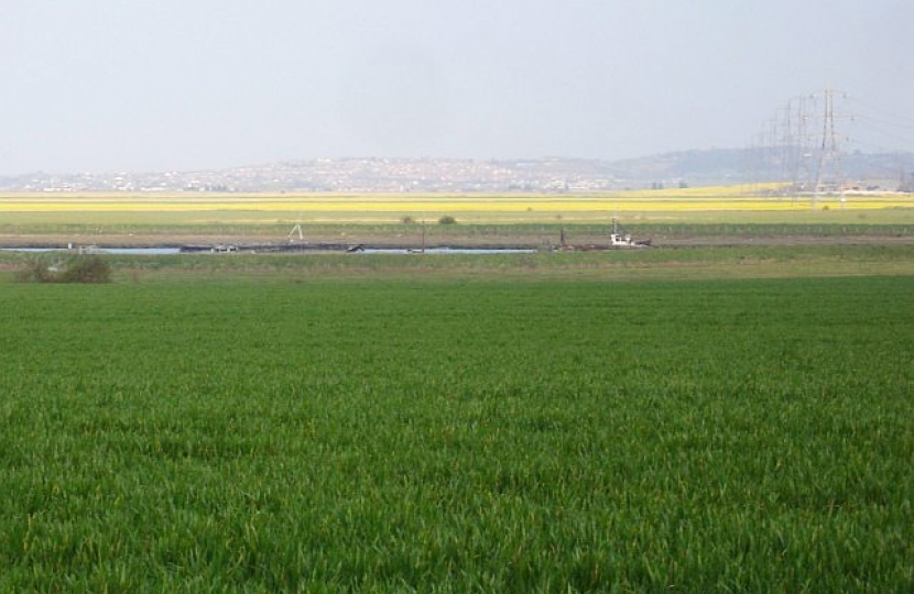 Faversham creek