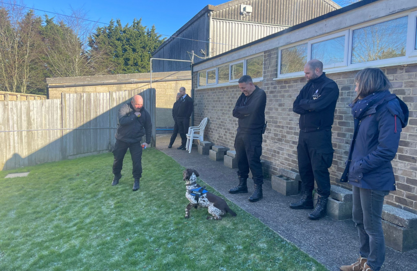 Helen watching Trigger get put through his paces