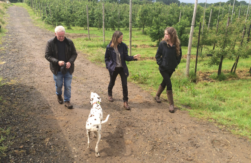 Helen at an apple farm in the constituency