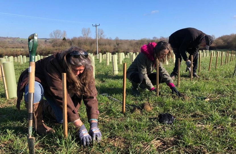 Helen tree planting