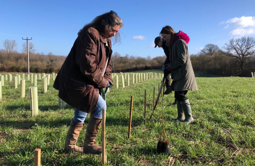 Helen tree planting