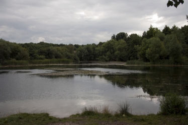 Oare creek is under threat