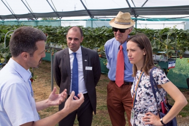 Helen meeting farmers at Fruit Focus 2019