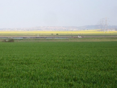 Faversham creek