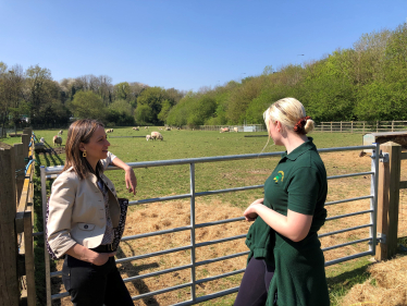 Helen at a local sheep farm